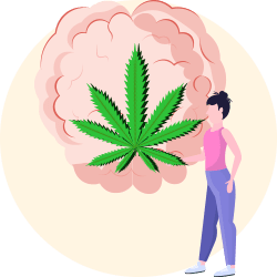 Mental Health Over Criminality